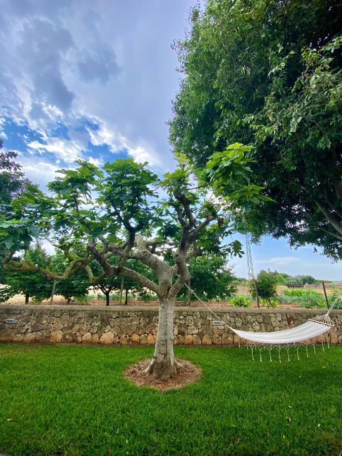 Finca Amer ซาโปบลา ภายนอก รูปภาพ